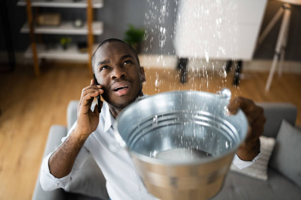 Best Water damage repair service  in Pocono Springs, PA