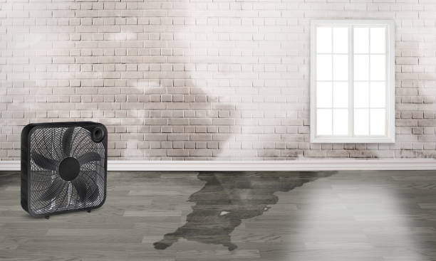 Best 24/7 water damage repair  in Pocono Springs, PA
