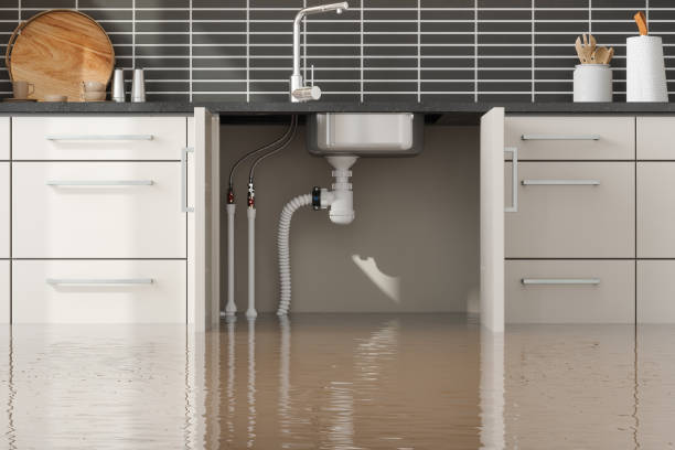 Best Water damage restoration near me  in Pocono Springs, PA