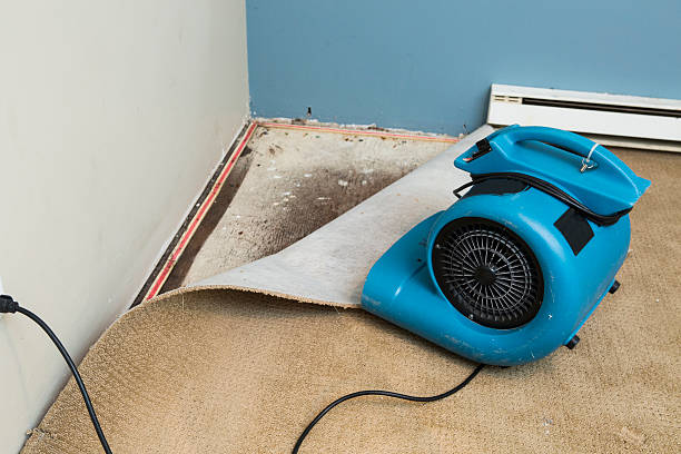 Best Carpet water damage restoration  in Pocono Springs, PA